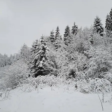 котедж латориця *